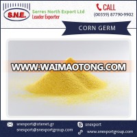 High in Protein Yellow Corn Germ for Animal Feed at Reasonable Price